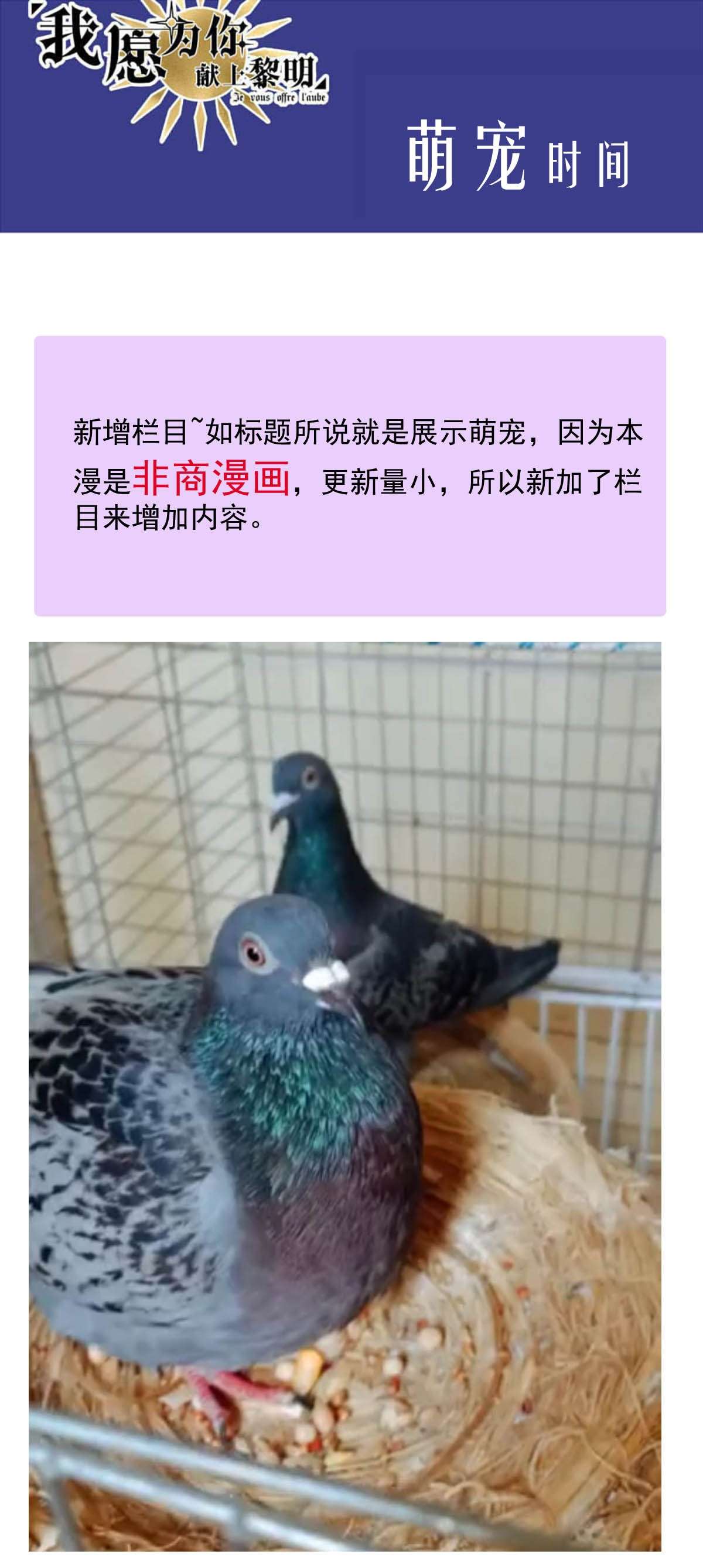 我愿为你献上黎明45 浅春（八）