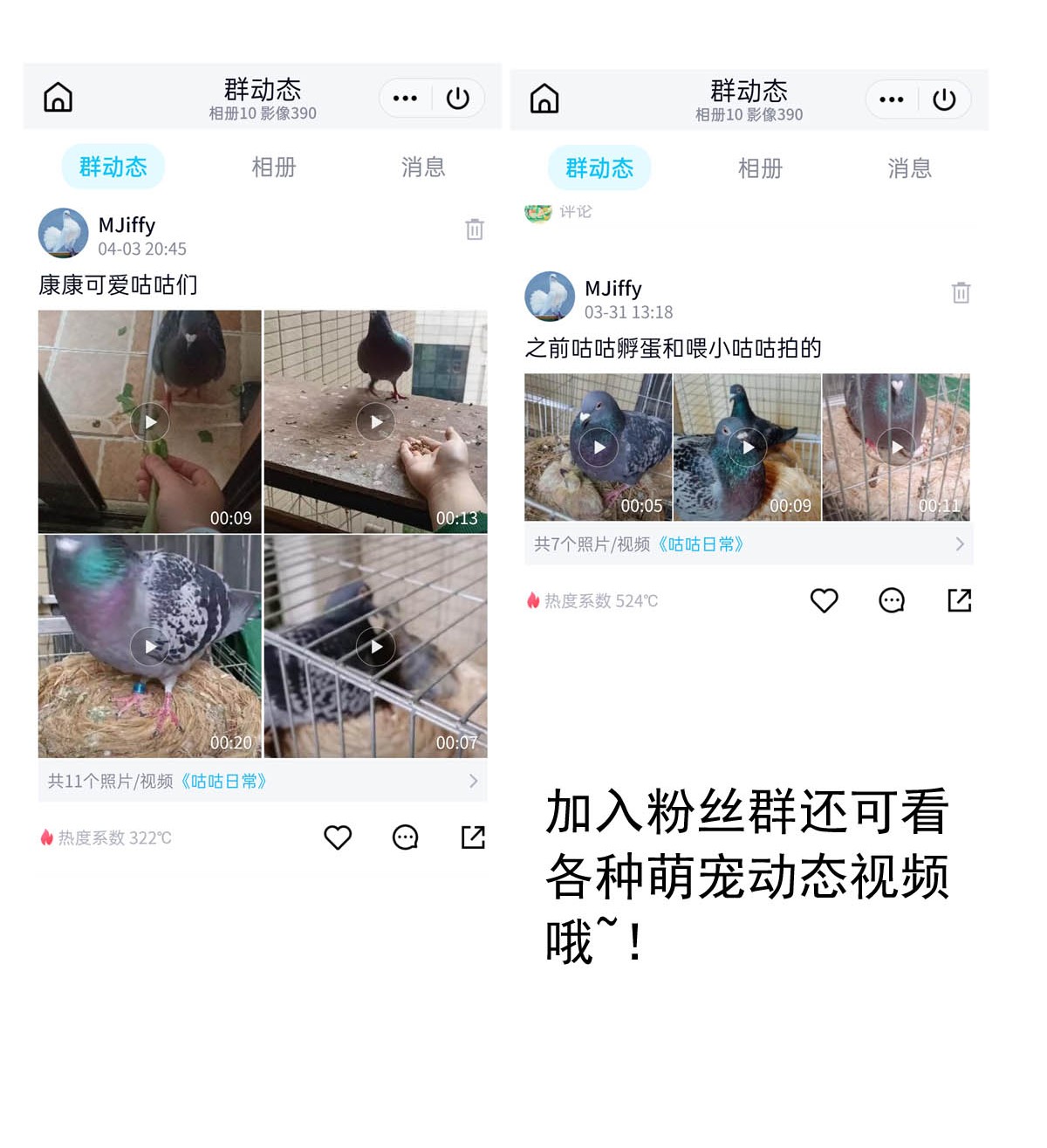 我愿为你献上黎明45 浅春（八）