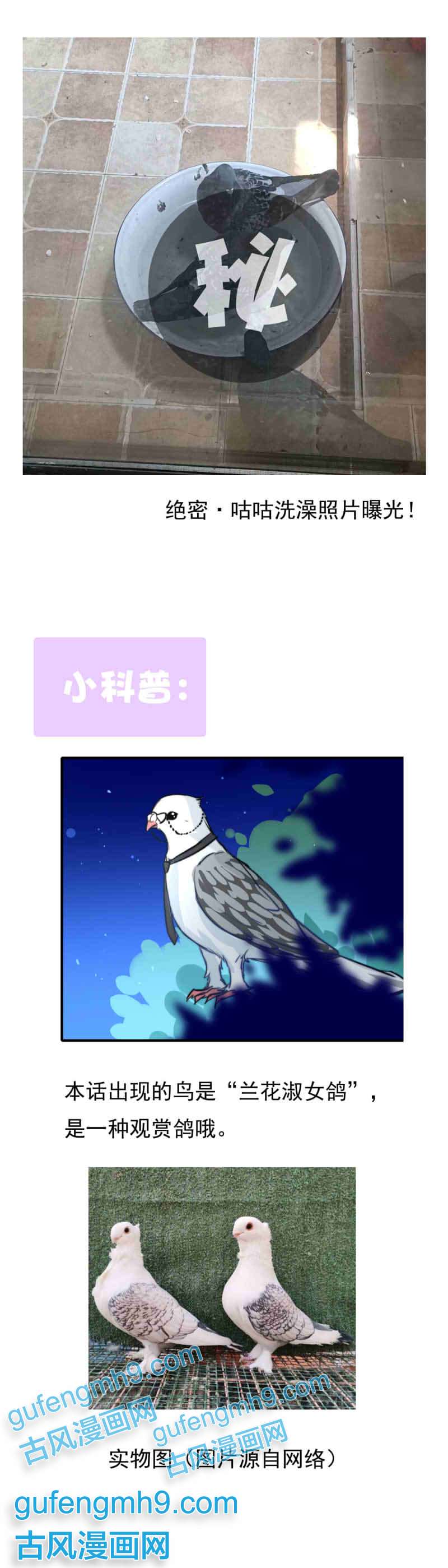 我愿为你献上黎明浅春（完）