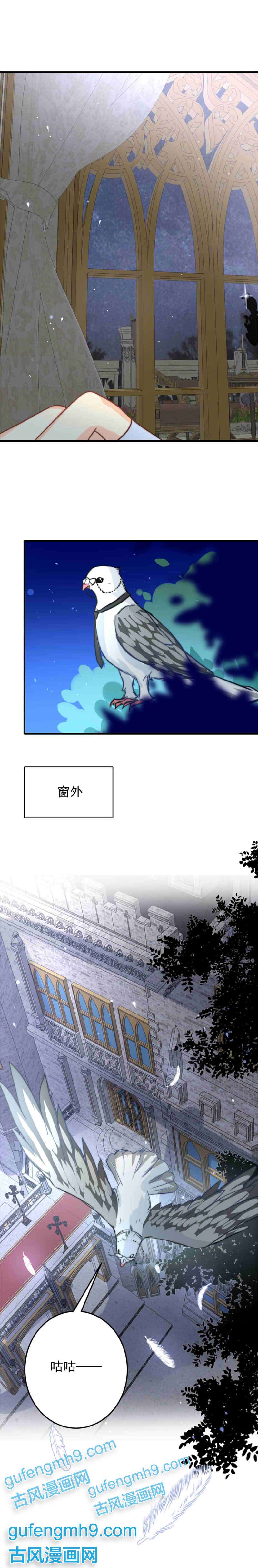 我愿为你献上黎明浅春（完）