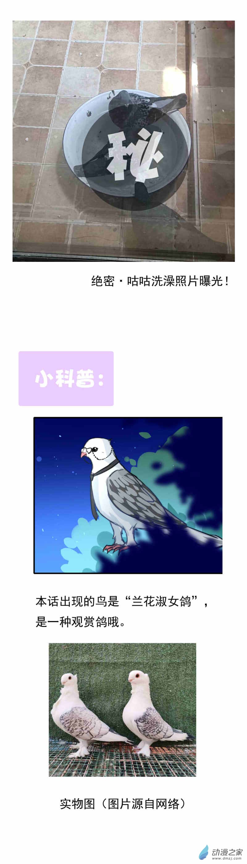 我愿为你献上黎明50 浅春（完）
