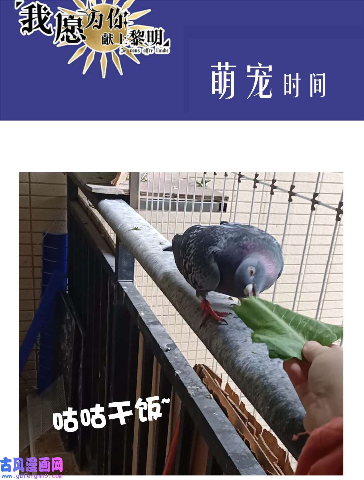 我愿为你献上黎明52 浅春（完）
