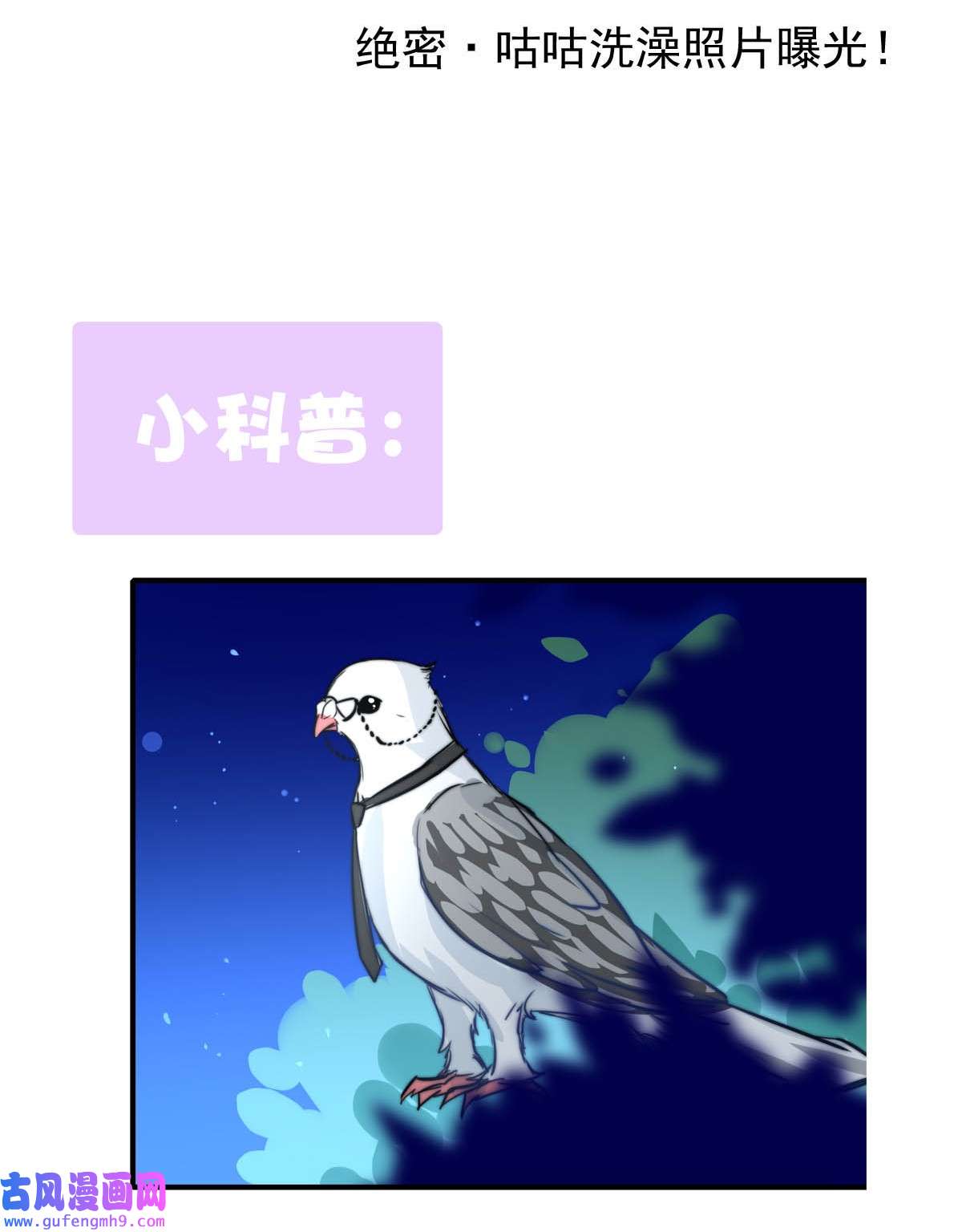 我愿为你献上黎明52 浅春（完）