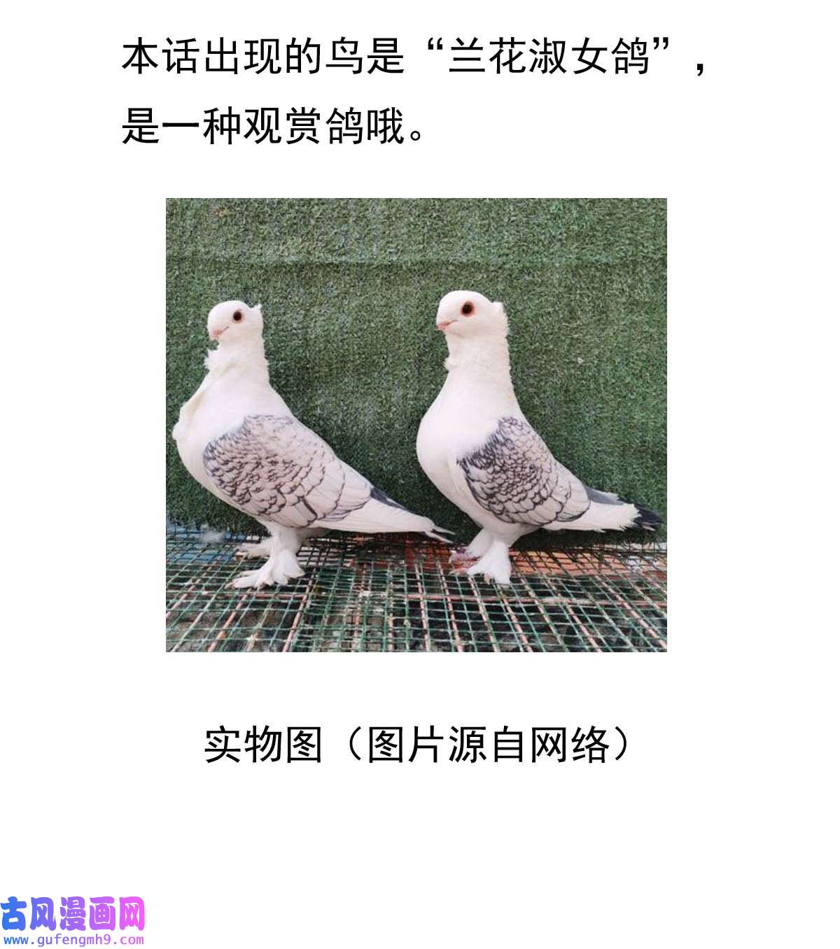 我愿为你献上黎明52 浅春（完）
