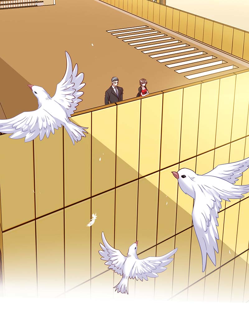 霸道总裁求抱抱第256话 这一切不怪你