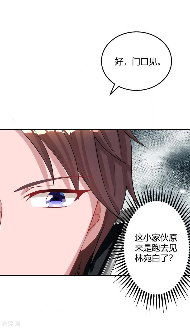 霸道总裁求抱抱154话 她是林宛白