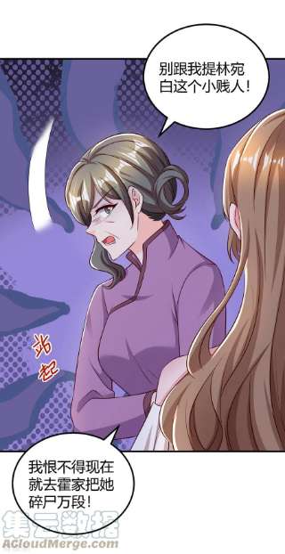 霸道总裁求抱抱295话 婚离定了