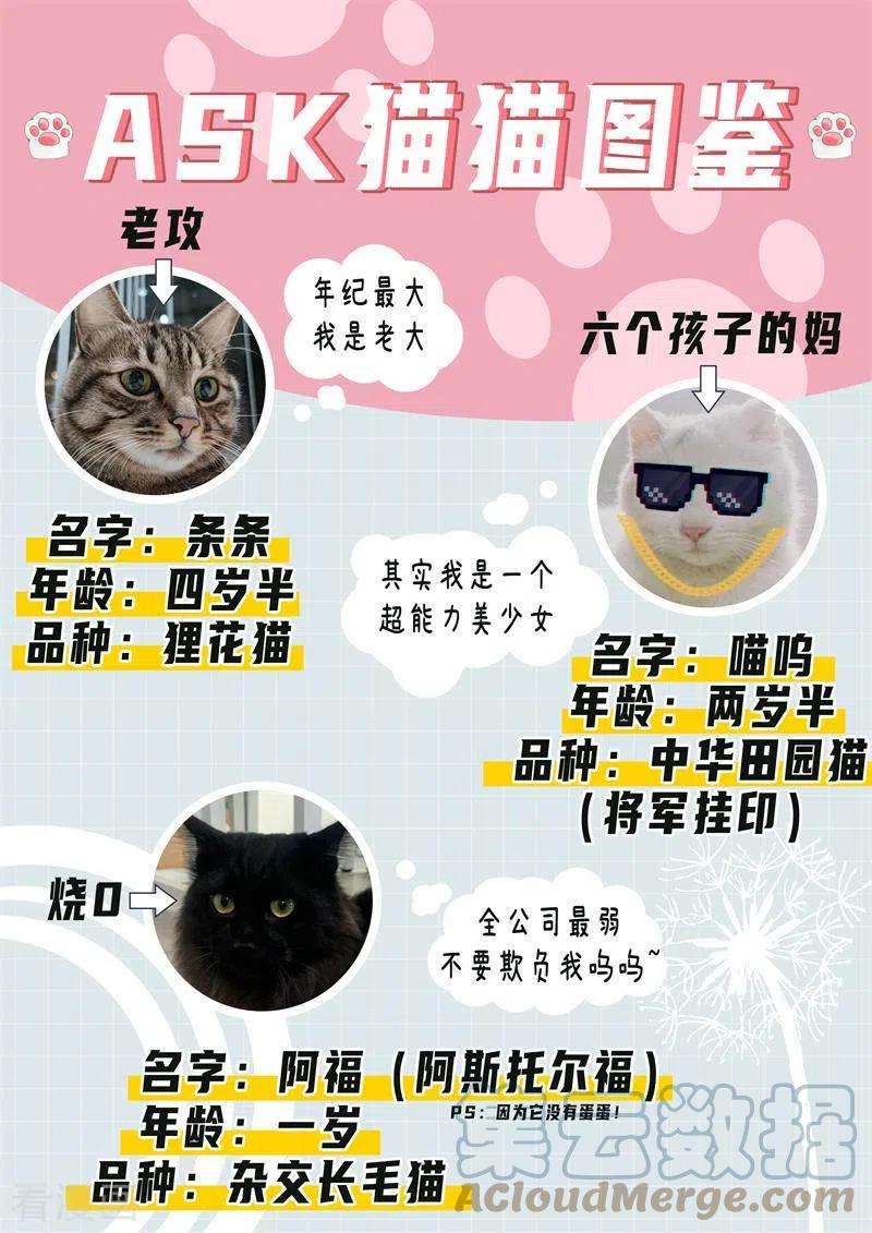 最后的召唤师二季 娜达的游戏 （10）