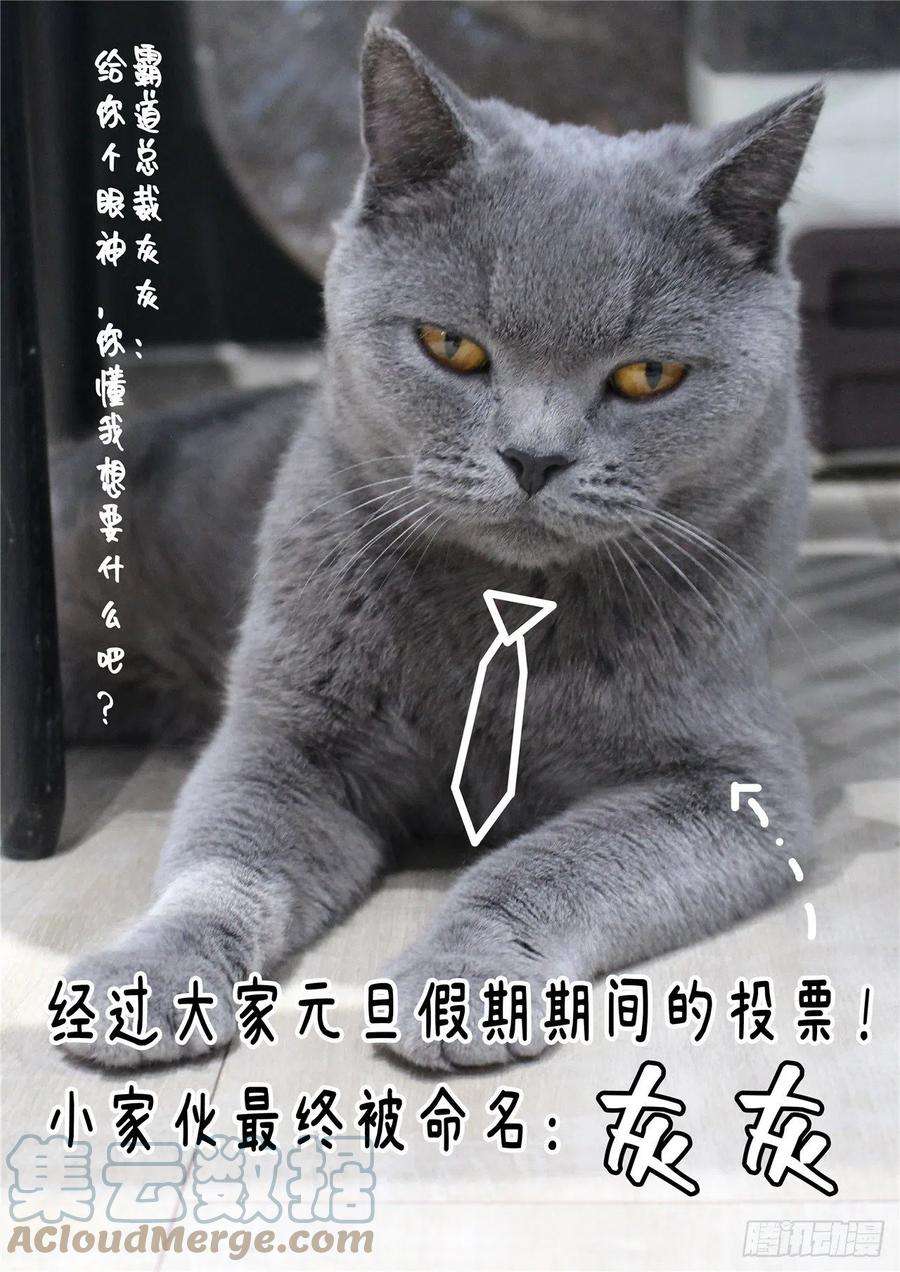 最后的召唤师二季 困兽之斗（05）