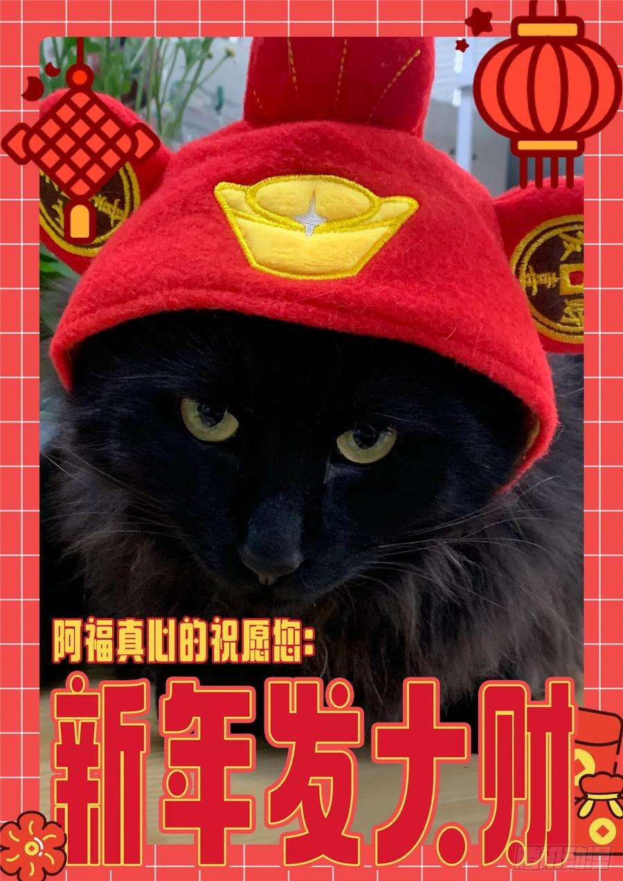 最后的召唤师二季 困兽之斗（08）