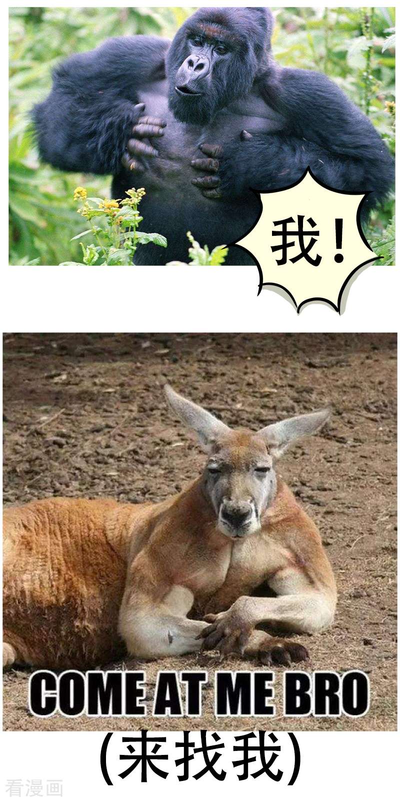 微胖女神23话