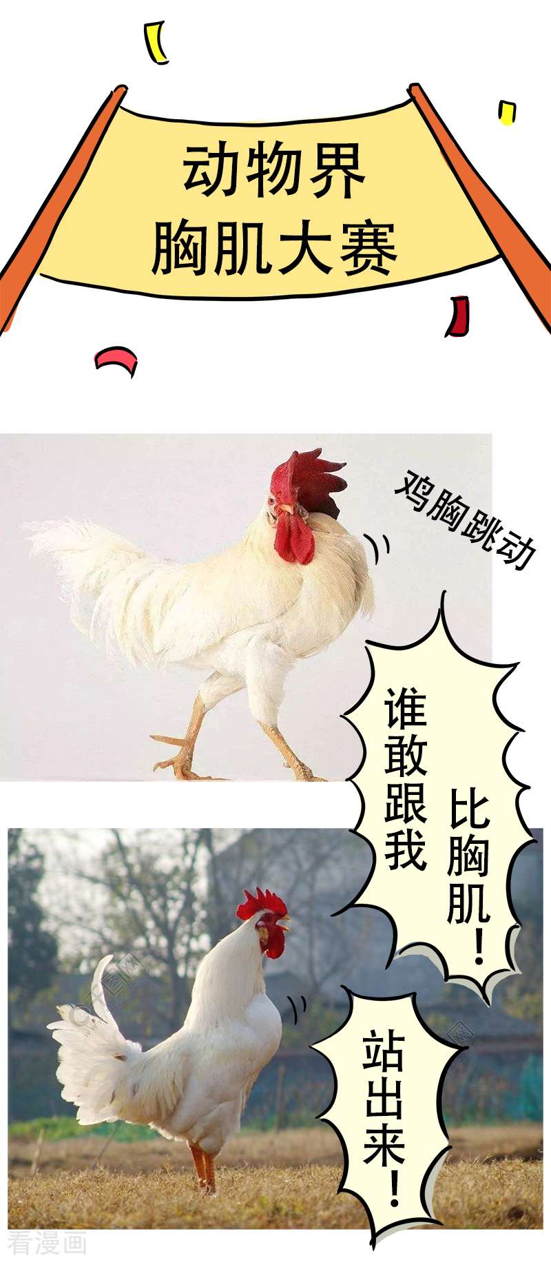 微胖女神23话