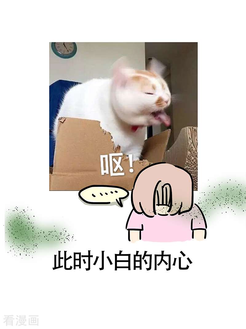 微胖女神24话