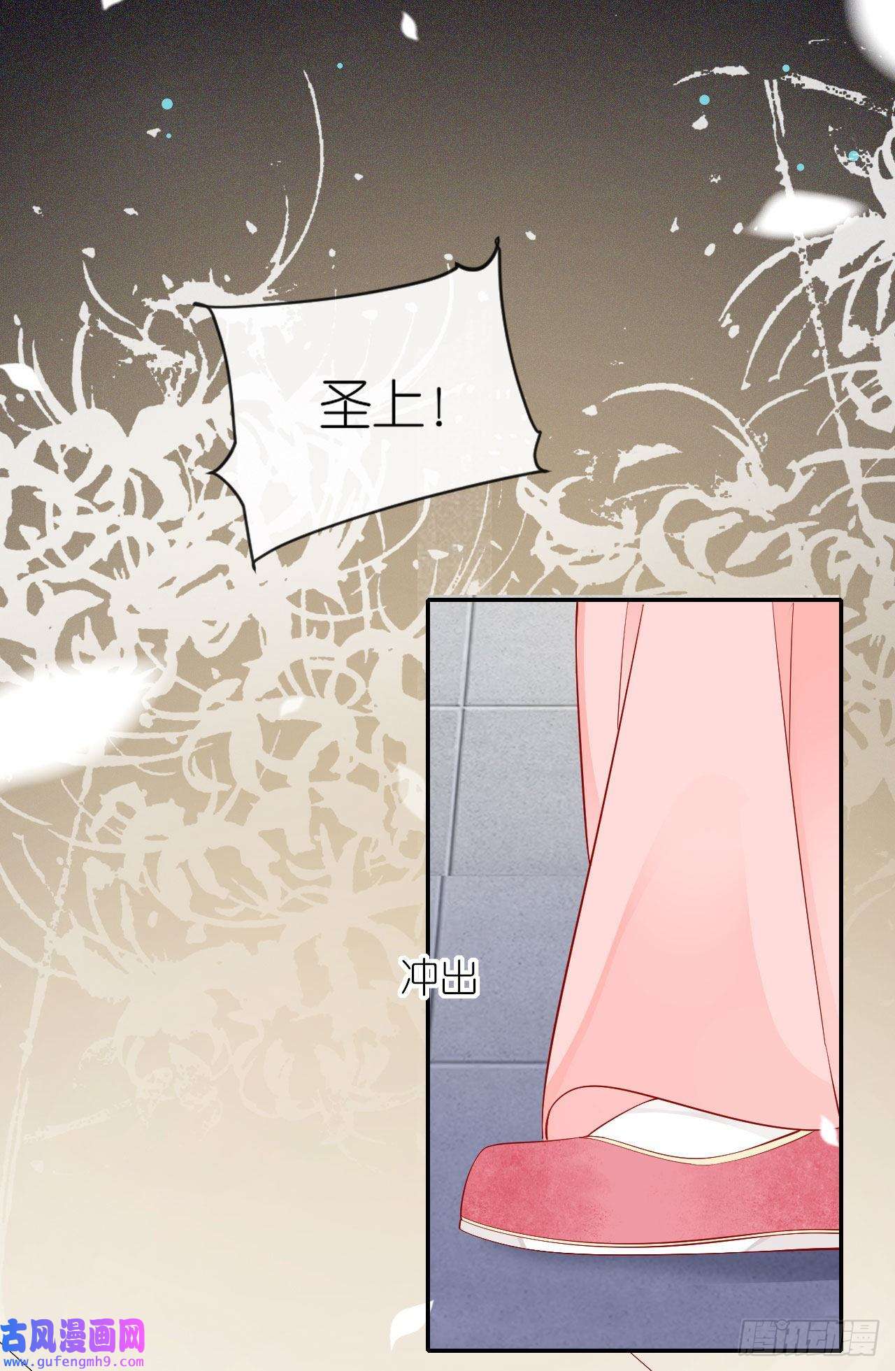 将军，本妃不承宠第26话 面圣求情