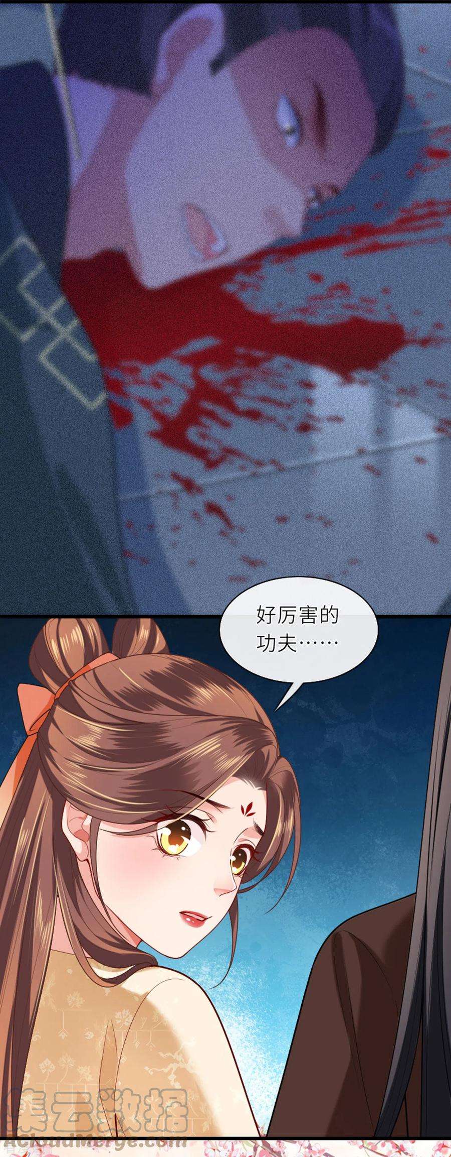 将军，本妃不承宠5话 恶客上门