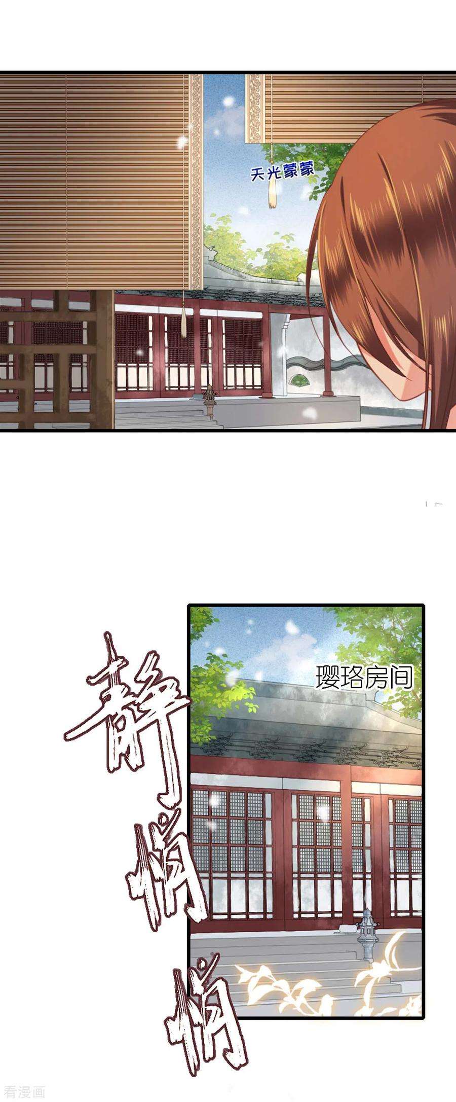 将军，本妃不承宠5话 恶客上门