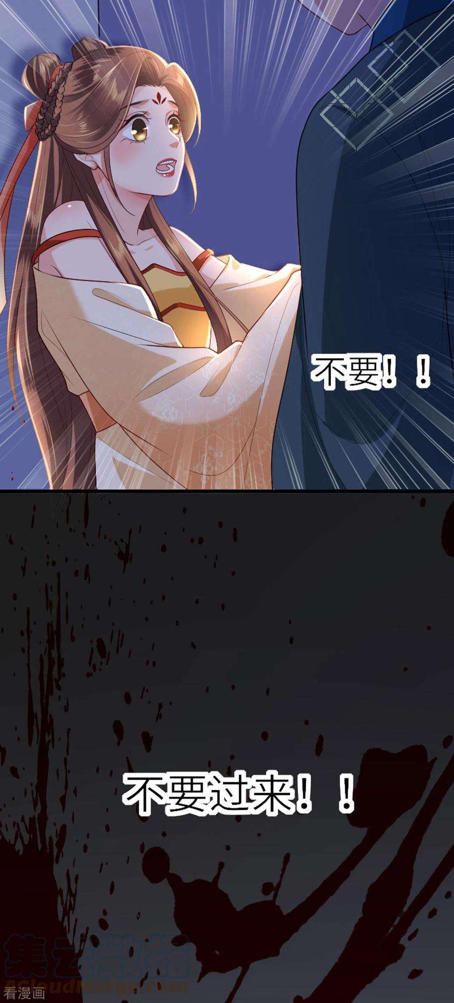 将军，本妃不承宠5话 恶客上门