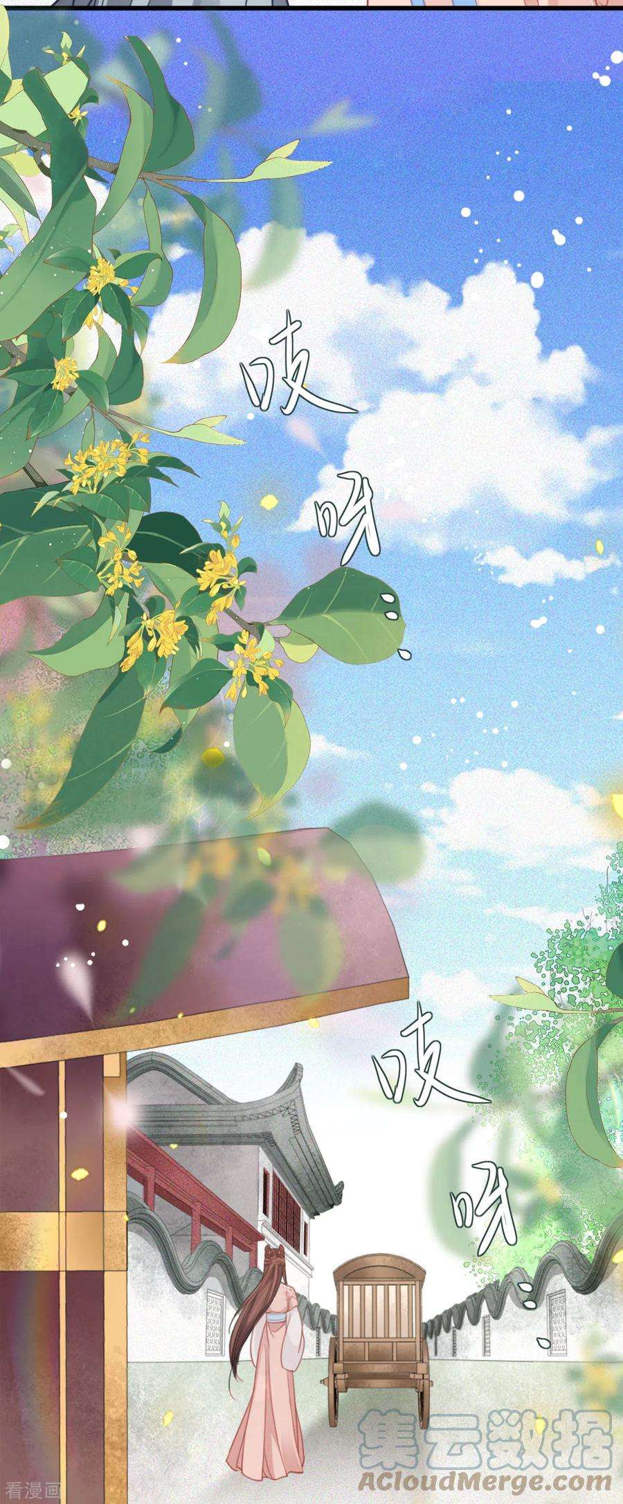 将军，本妃不承宠14话 将军往事