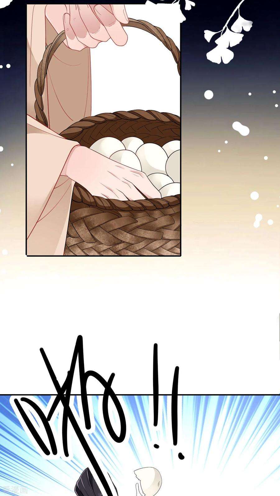 将军，本妃不承宠29话 不白之冤