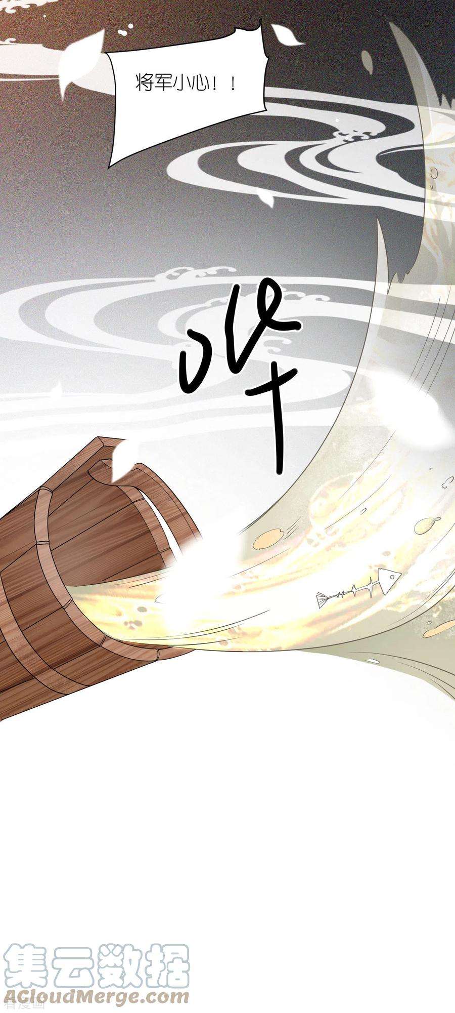 将军，本妃不承宠29话 不白之冤