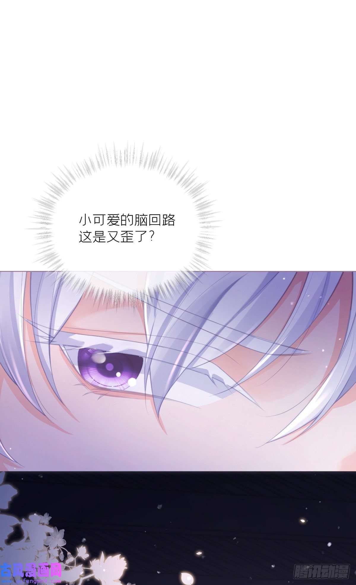 萌主人设又崩啦！洛编剧的脑洞