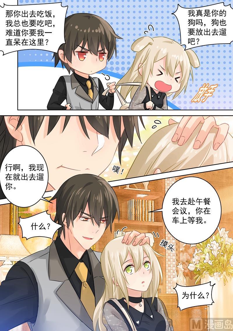 一念时光105话 宠物般的生活