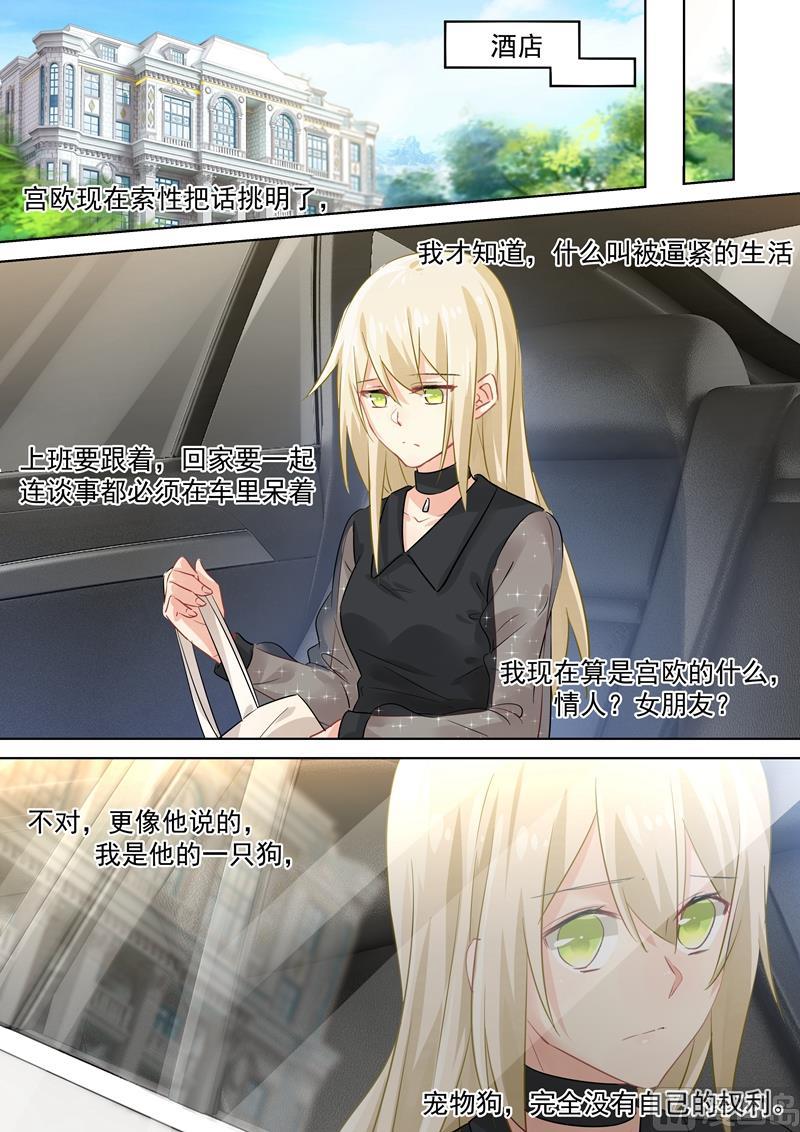 一念时光105话 宠物般的生活