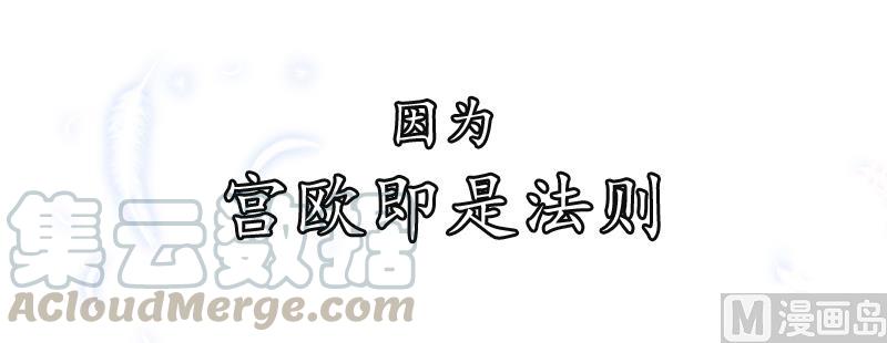 一念时光251话 不会选择做一只宠物