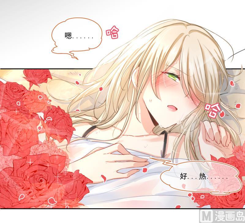 一念时光251话 不会选择做一只宠物