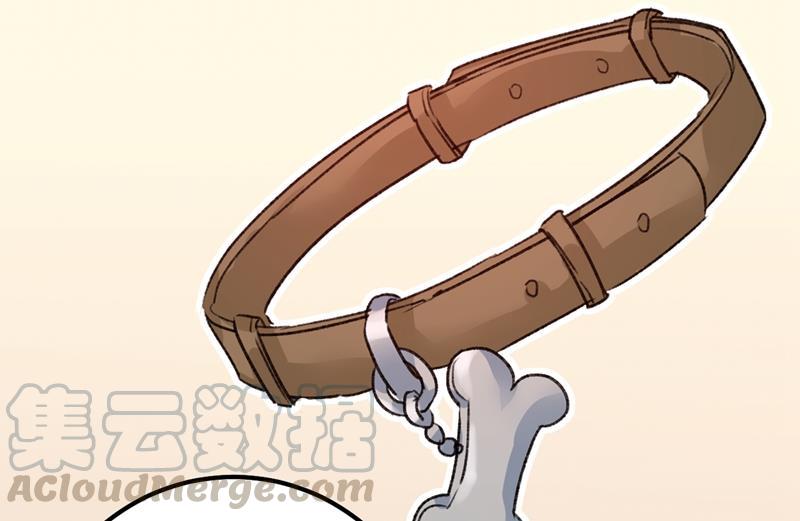一念时光该付车费了，别耍赖