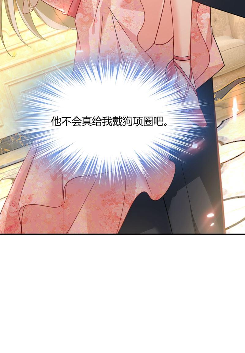 一念时光这个项圈你要不要戴？