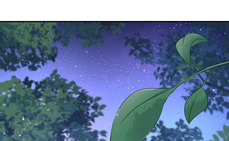 一念时光一起去看星星