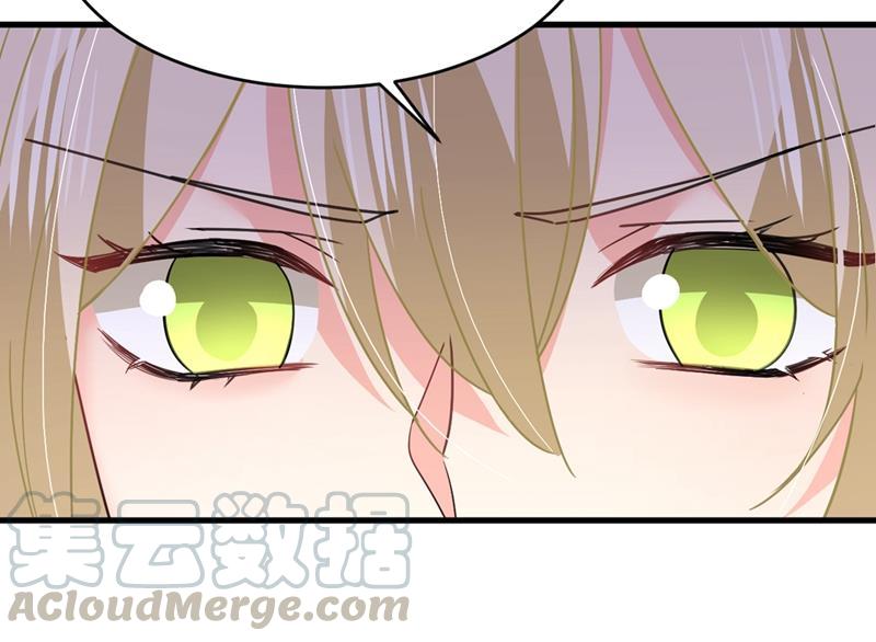 一念时光我会自证清白的