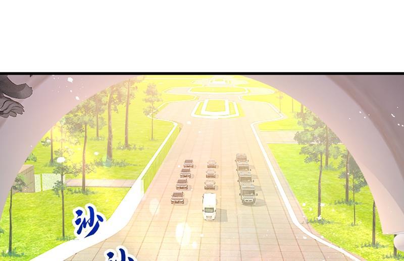 一念时光我会自证清白的