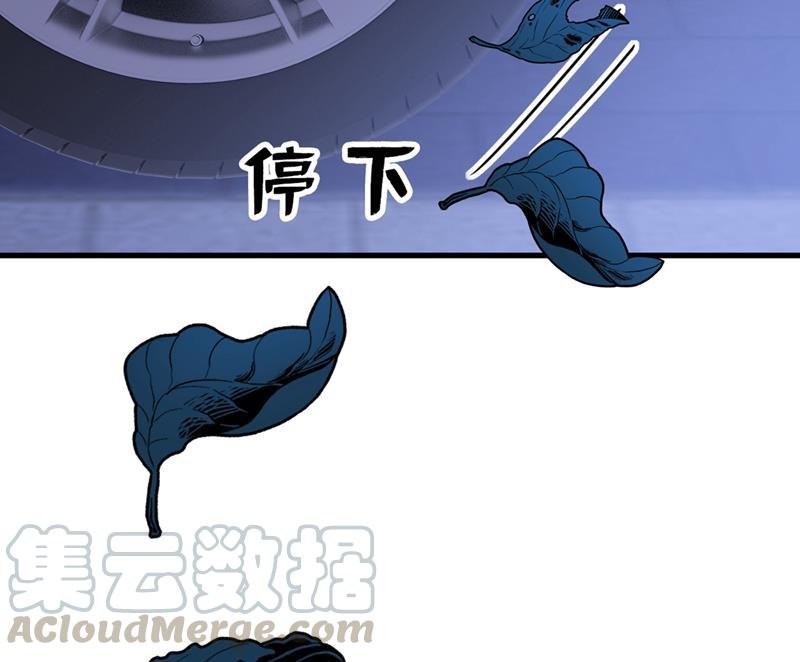 一念时光我会做出自己的决定