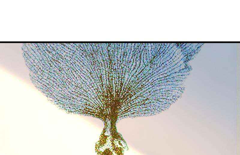 一念时光原来不是他