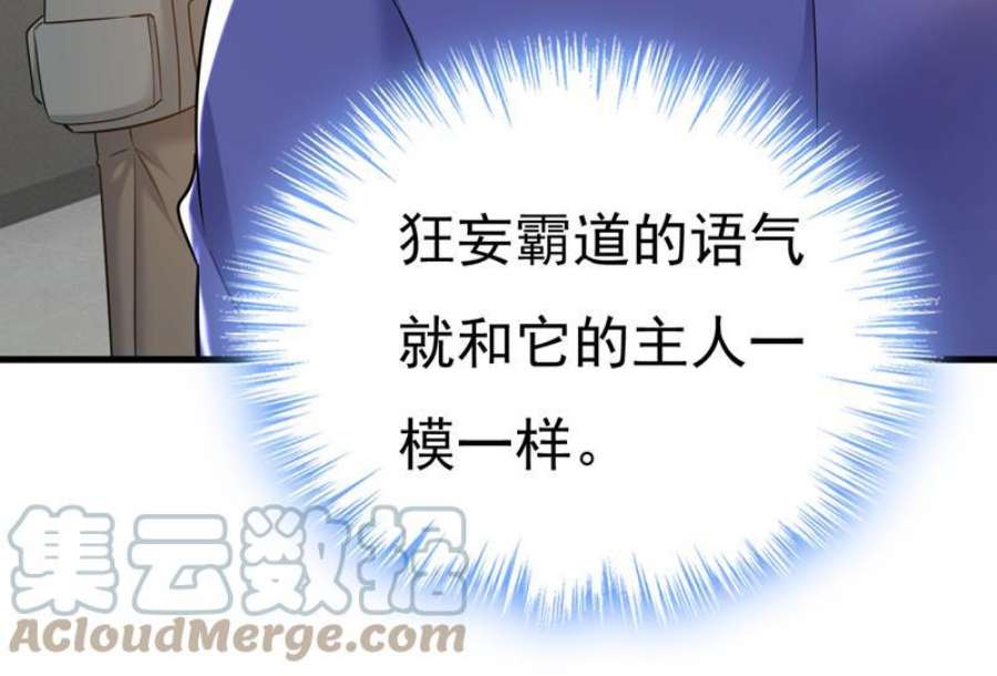 一念时光你终于话来了！