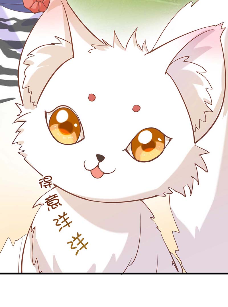 兽世狂妃第64话 聪明小狐狸