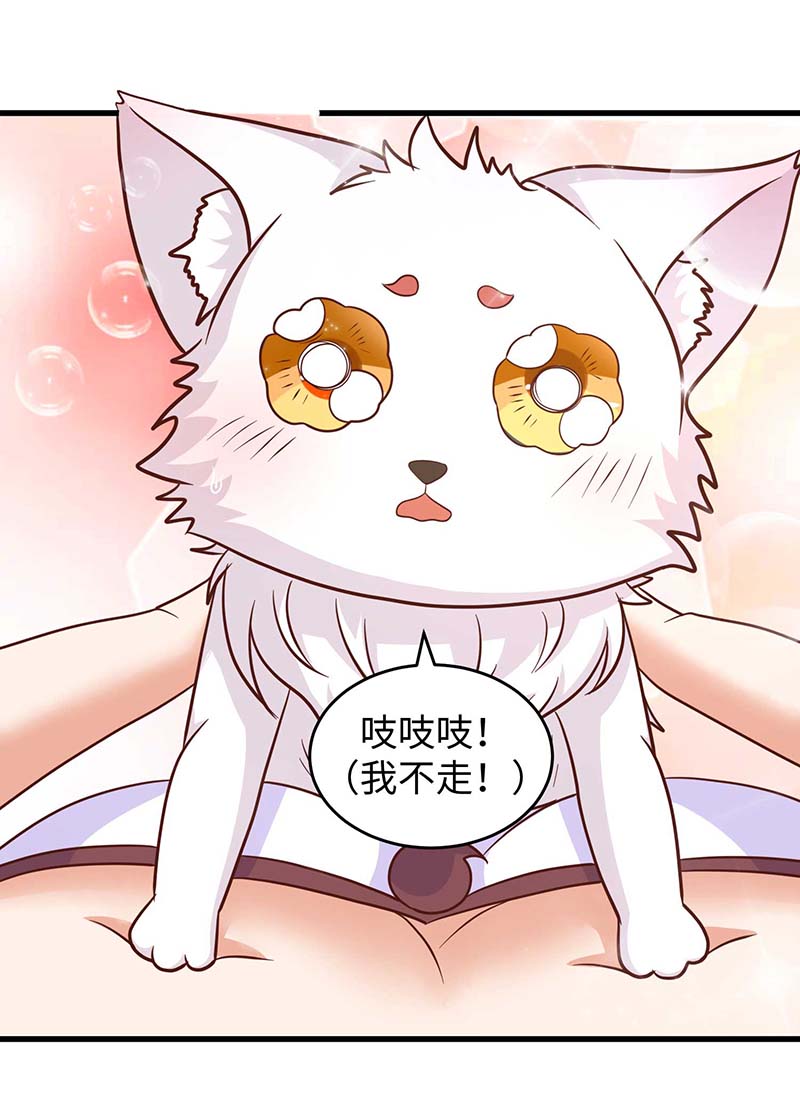 兽世狂妃第65话 小白