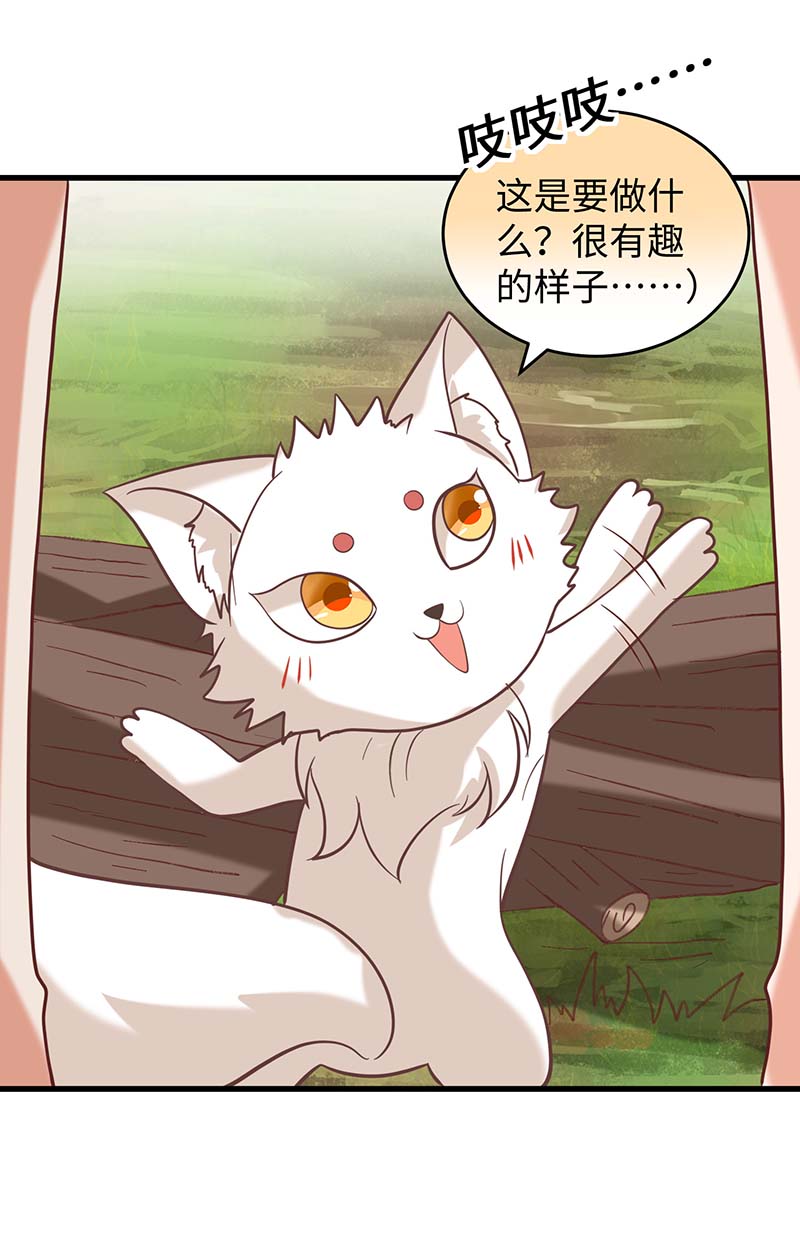 兽世狂妃第71话 小雨不见了