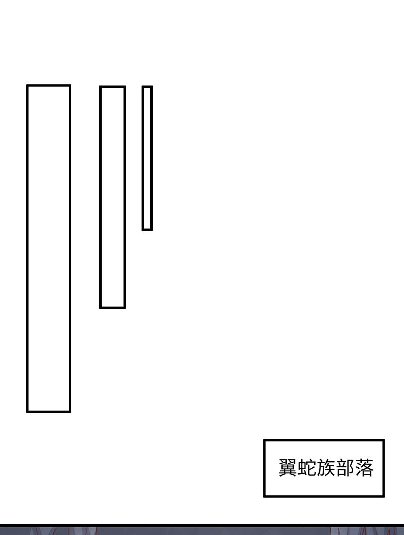 兽世狂妃第79话 千族大会