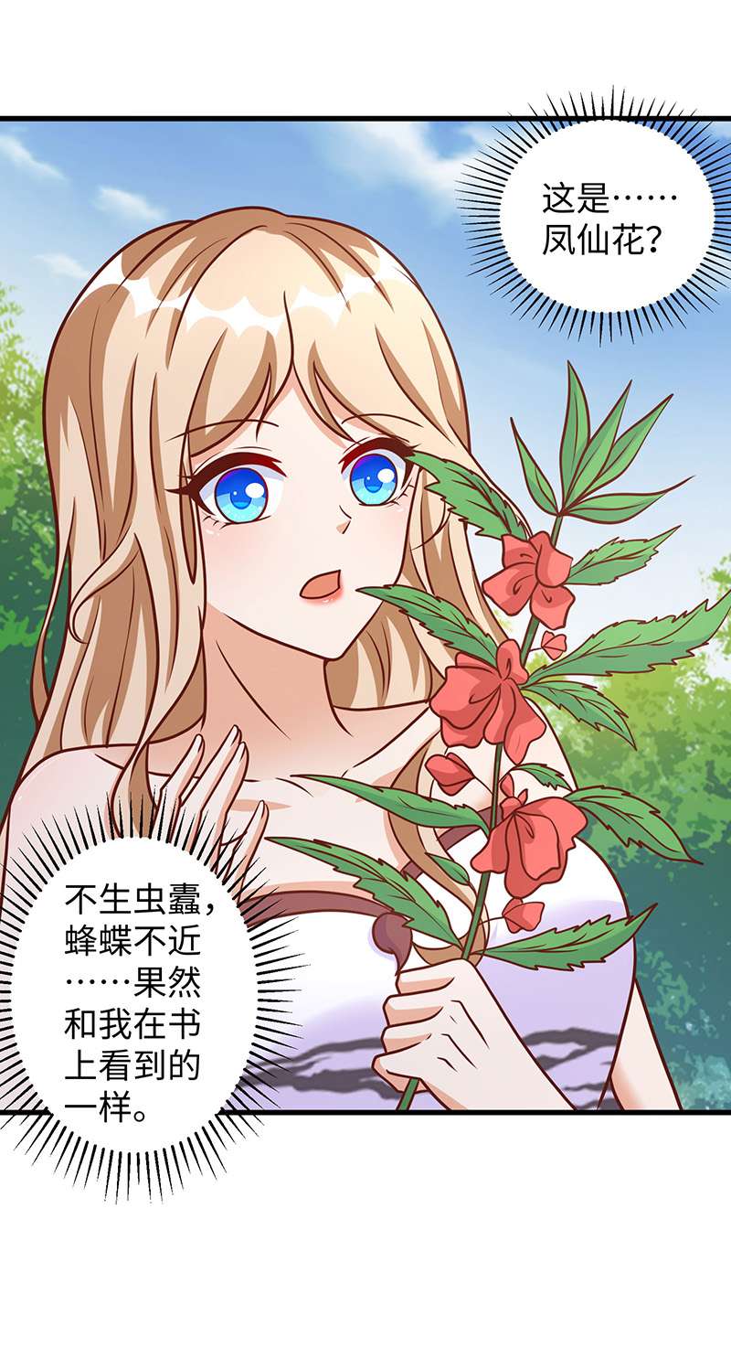 兽世狂妃第89话 凤仙花
