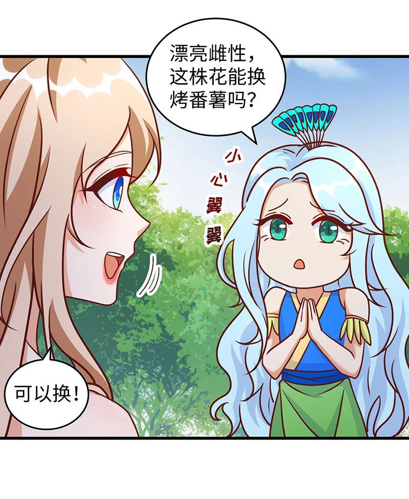兽世狂妃第89话 凤仙花