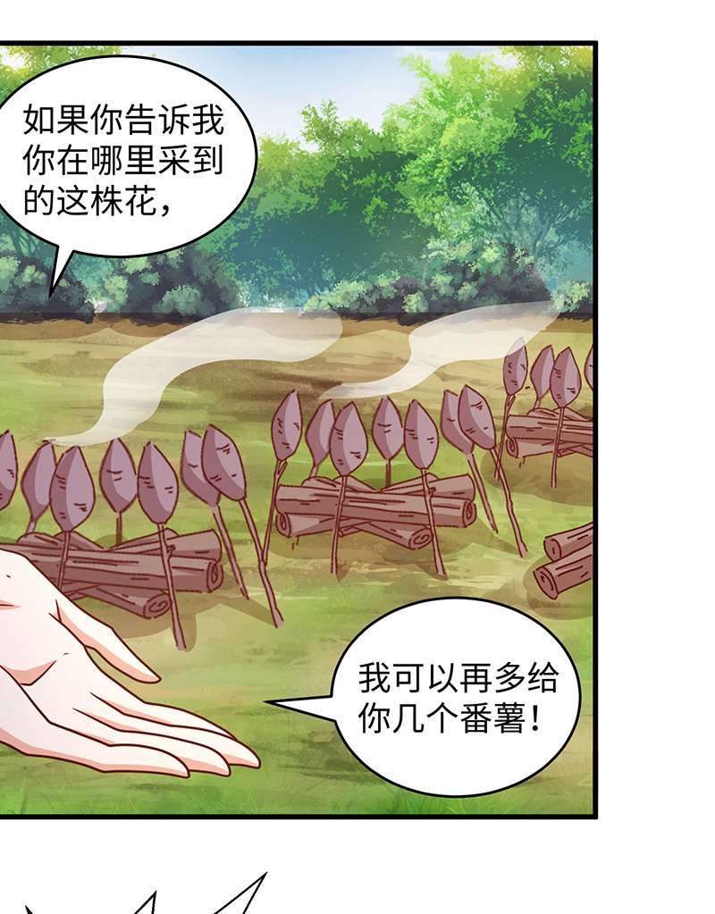 兽世狂妃第89话 凤仙花