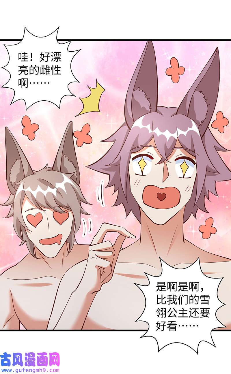 兽世狂妃第105话 他们会主动带我们去