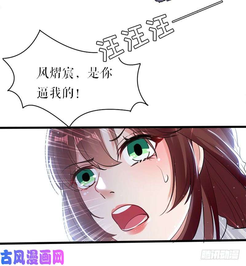 天才酷宝：总裁宠妻太强悍第11话 放狠话