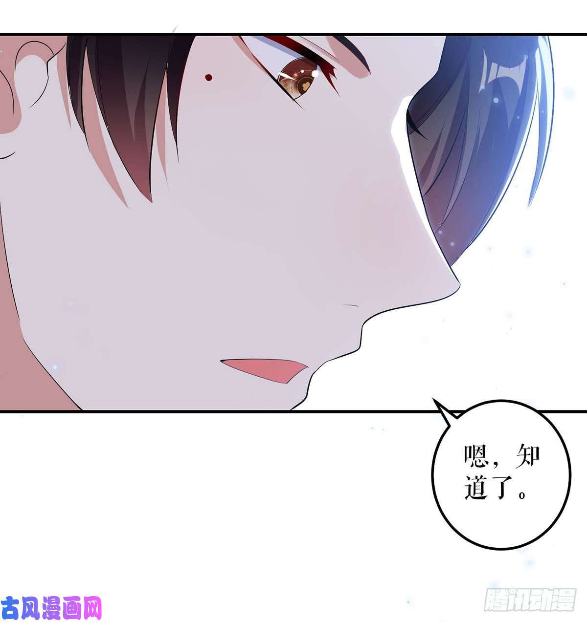 天才酷宝：总裁宠妻太强悍第39话 儿子的新朋友