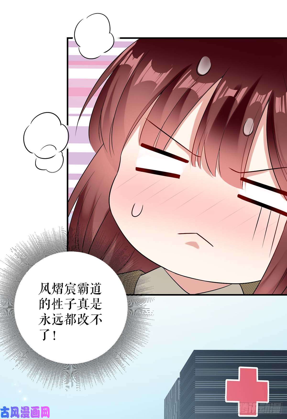 天才酷宝：总裁宠妻太强悍第46话 挑拨