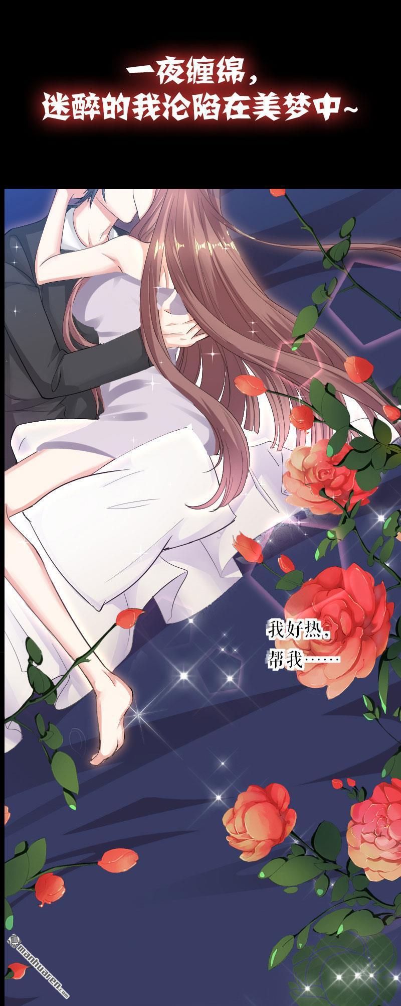 天才酷宝：总裁宠妻太强悍第1话 序章