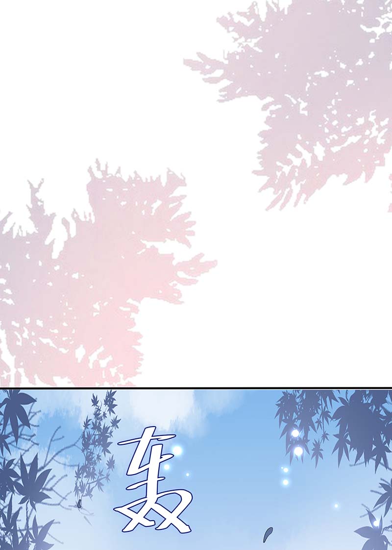 总裁宠妻太强悍第76话 温暖的阿姨